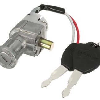 A set of keys with a black key fob and a silver ignition lock.