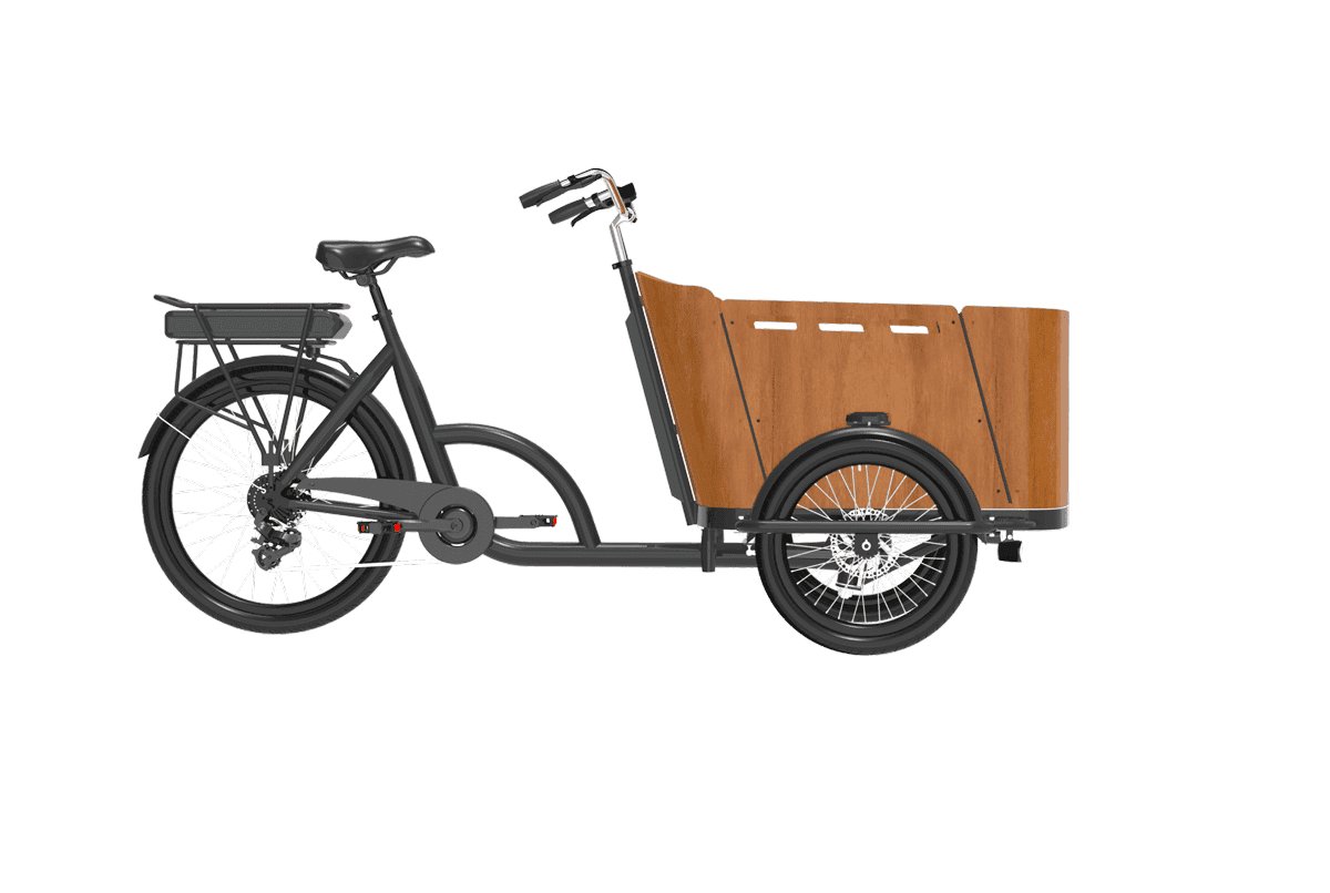 Trike Bike | Adult 3 Wheel Electric Cargo Tricycle