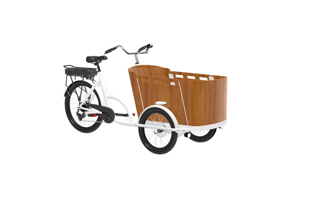 Trike Bike | Adult 3 Wheel Electric Cargo Tricycle