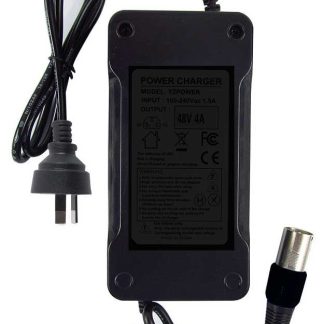 Power adapter for electric adult tricycles. Universal charger for e-trike batteries.