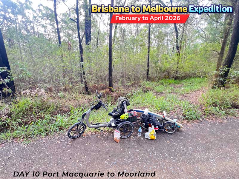 Black adult tricycle with yellow accents on a forest road. Suitable for seniors and disability mobility.