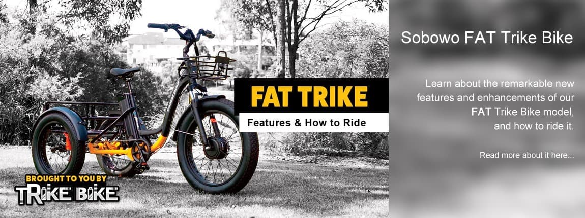 FAT Trike Bike slide image