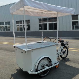 Adult tricycle with large cargo box and canopy. Mobility solution for seniors or disability