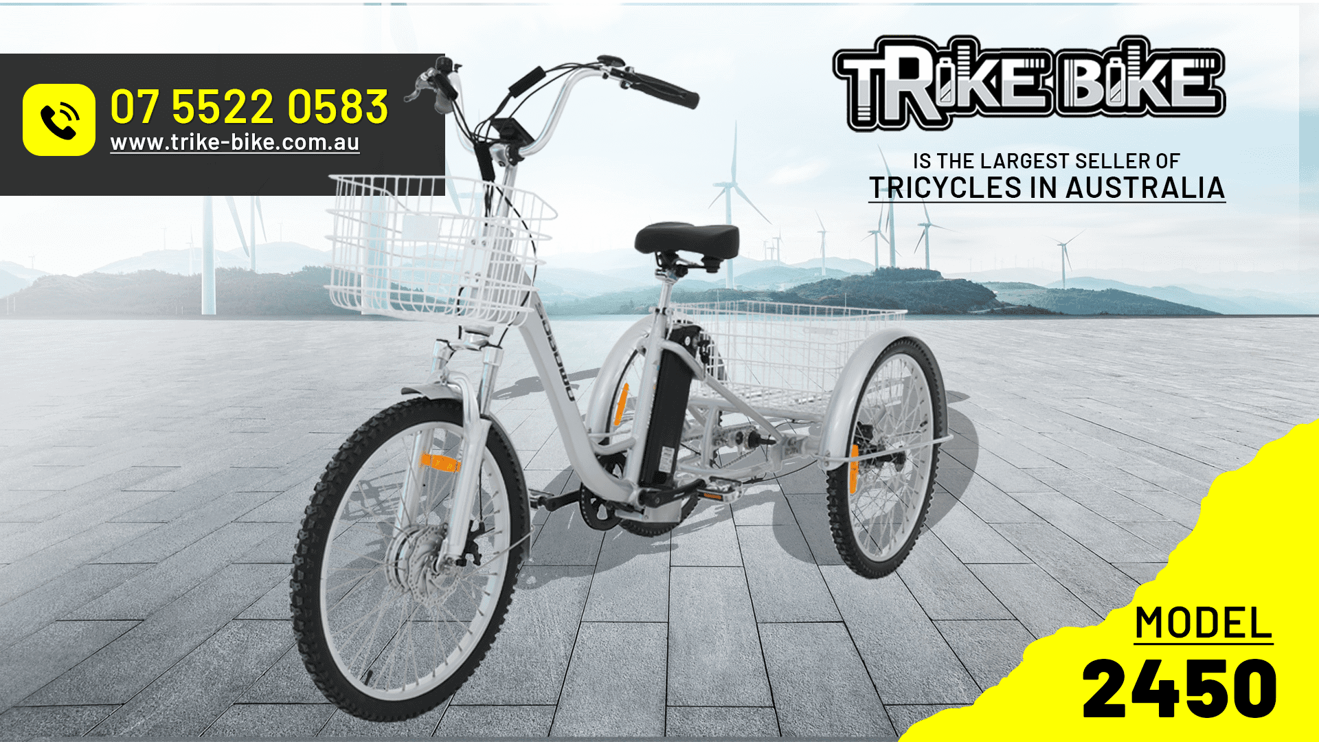Adult electric tricycle for mobility and leisure